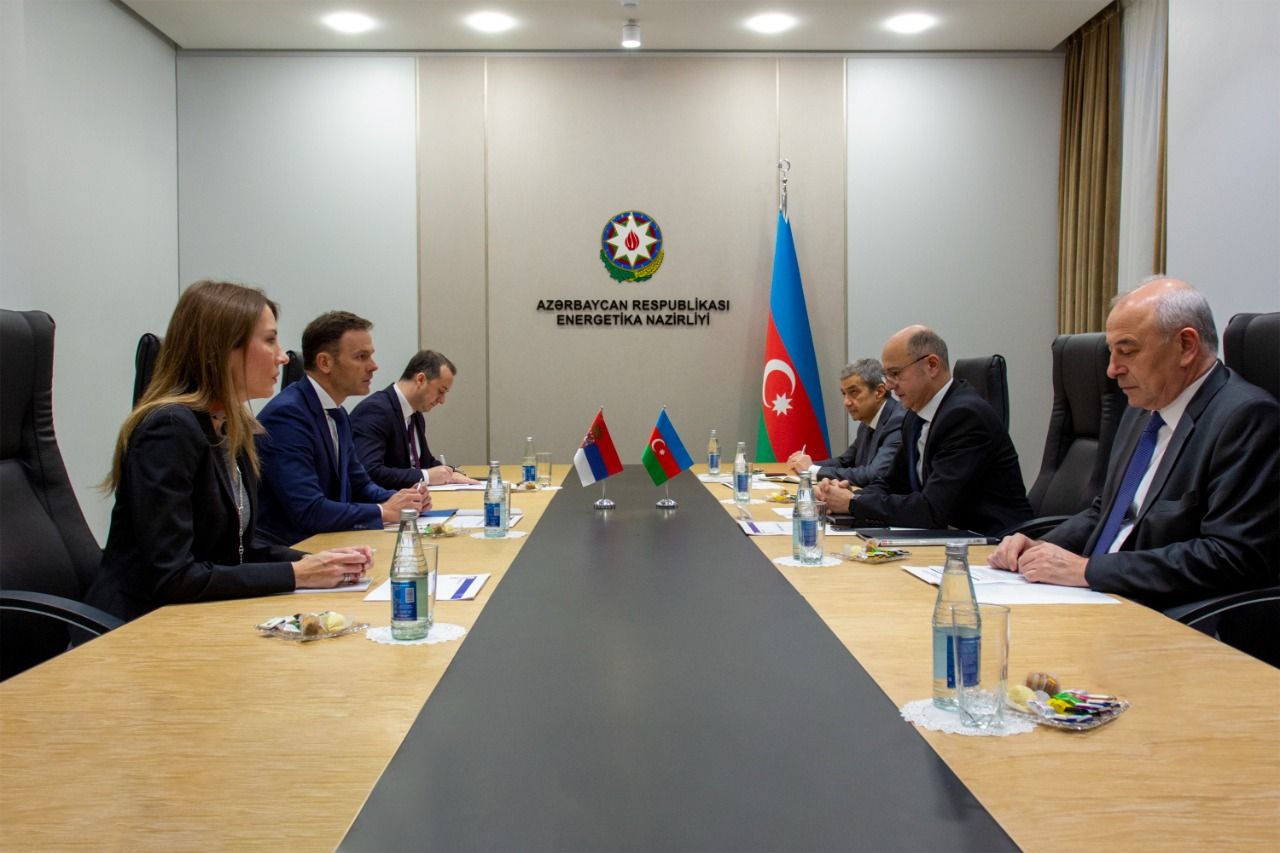 Baku, Belgrade mull priority issues of energy co-op [PHOTO]