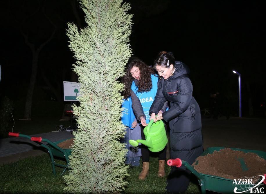 With participation of Leyla Aliyeva registration and numbering of trees in Baku carried out [PHOTO]