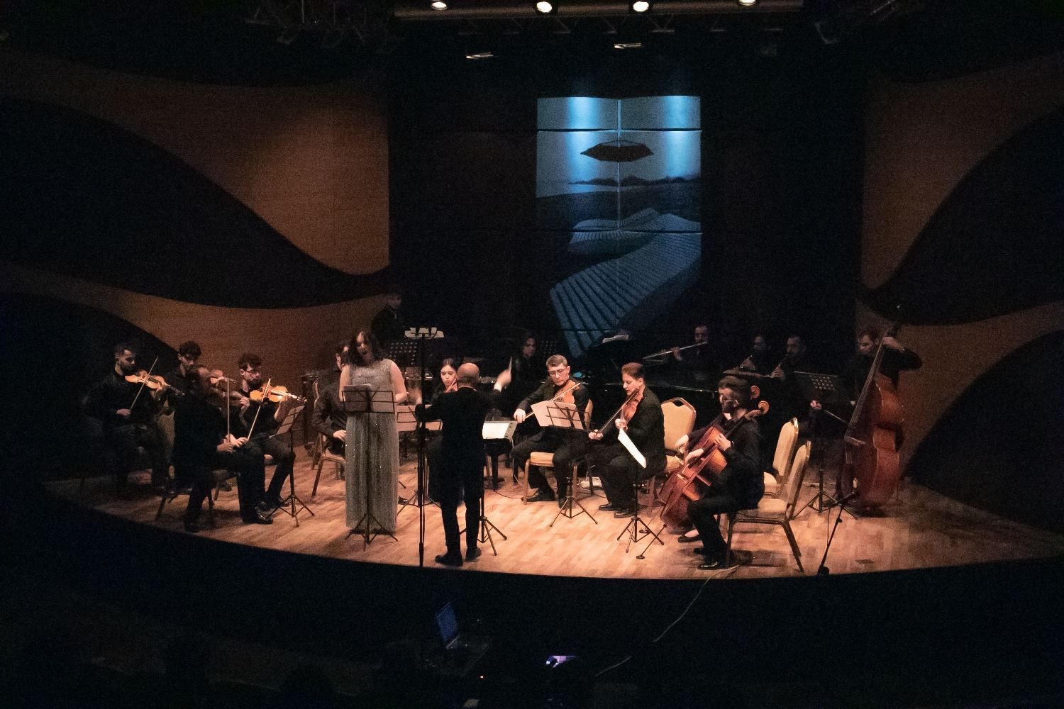 Cadenza Orchestra performs spectacular concert on World Azerbaijanis Solidarity Day [PHOTO/VIDEO]