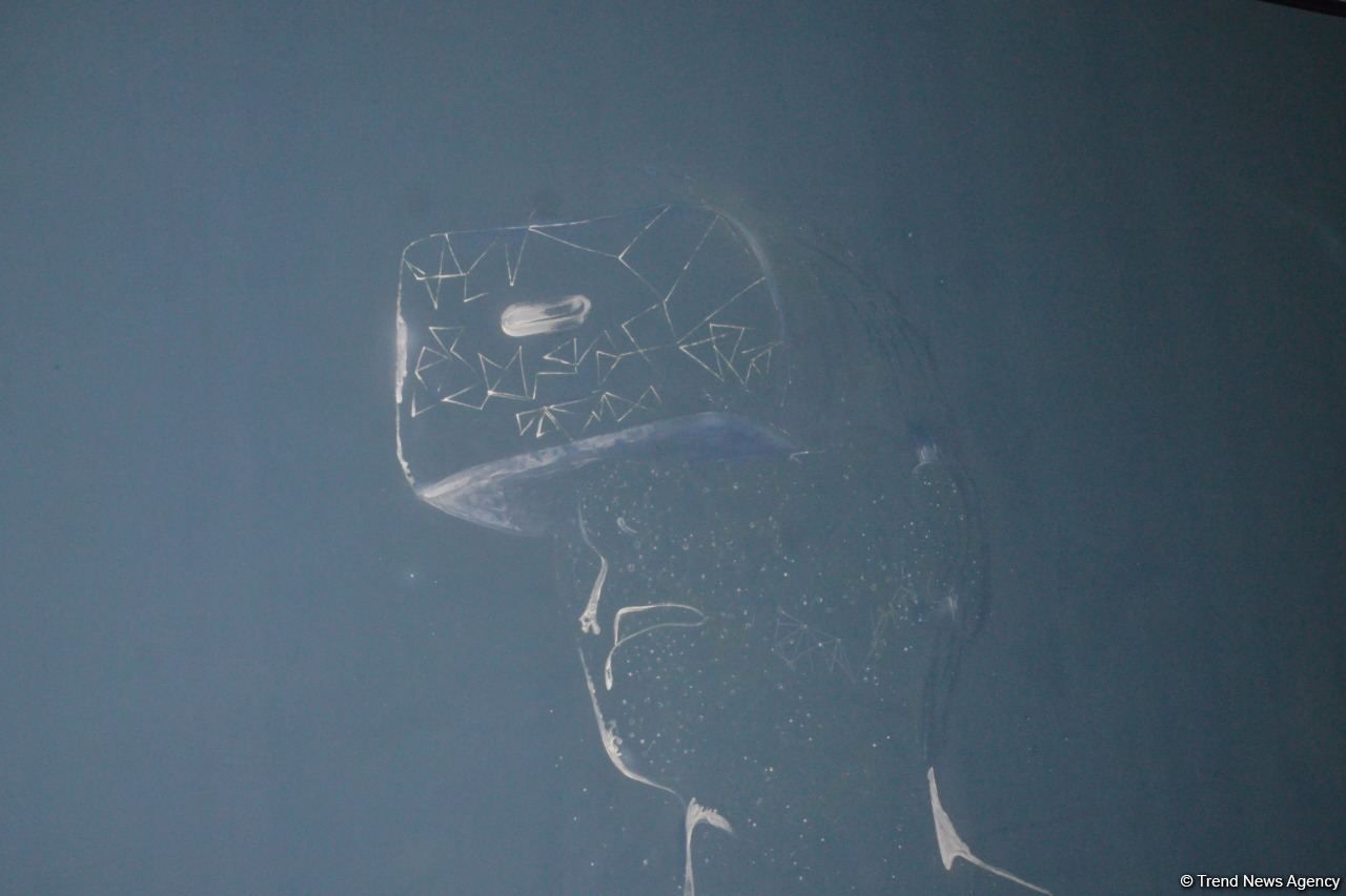 Slider Image 1