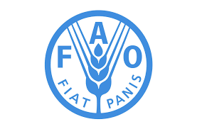 Azerbaijan, FAO implement numerous projects in agricultural sector