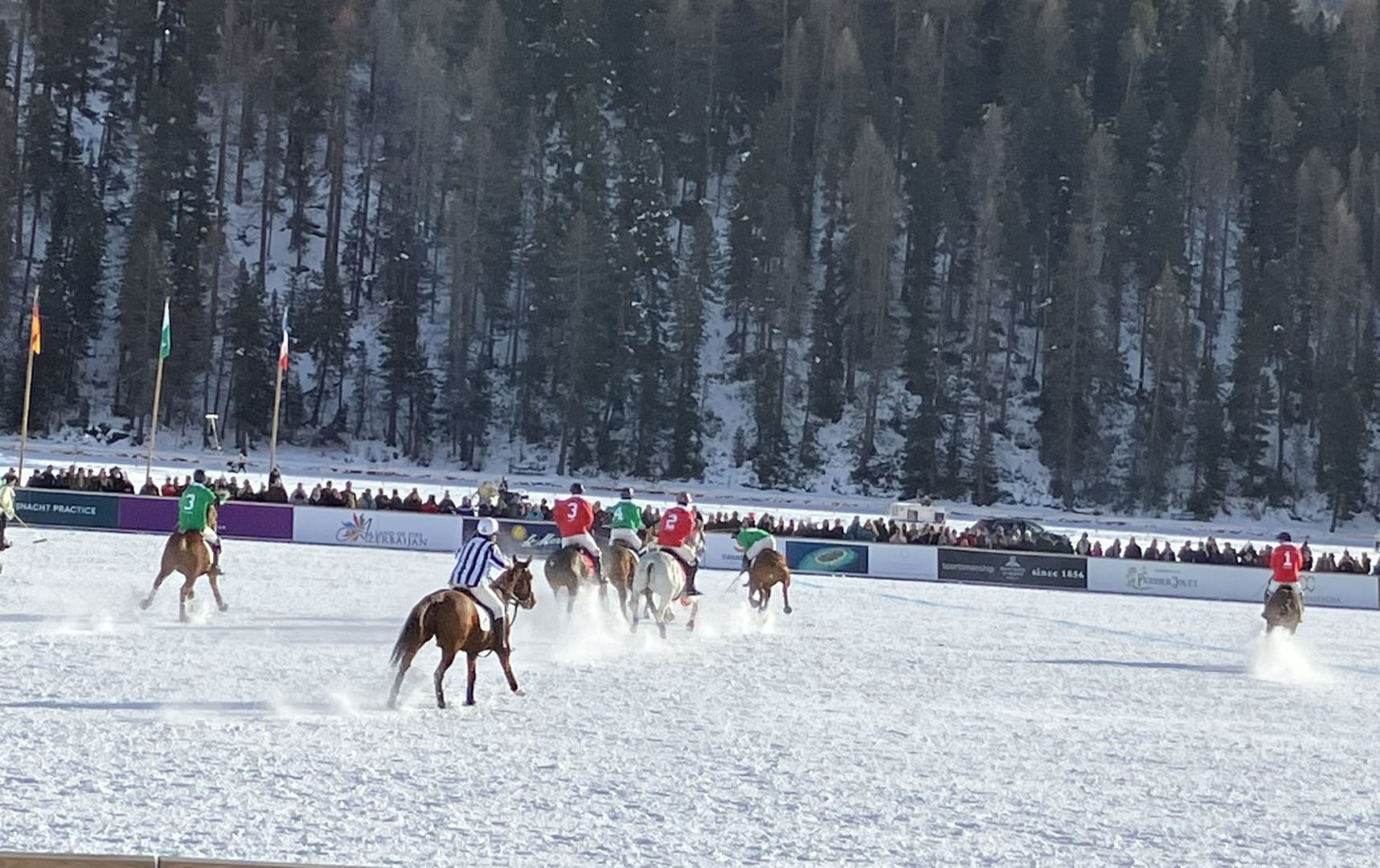 National team crowned champion at Snow Polo World Cup St. Moritz [PHOTO] - Gallery Image