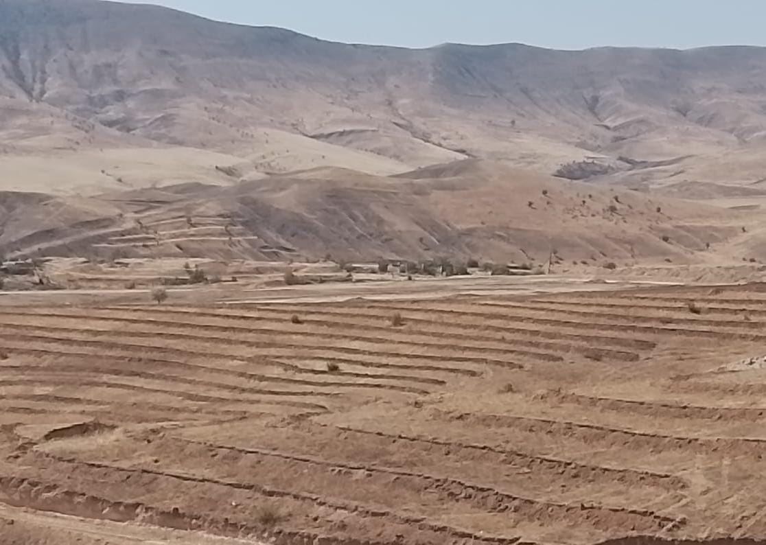 Tree-planting campaign continues in Azerbaijan's Jabrayil [PHOTO]