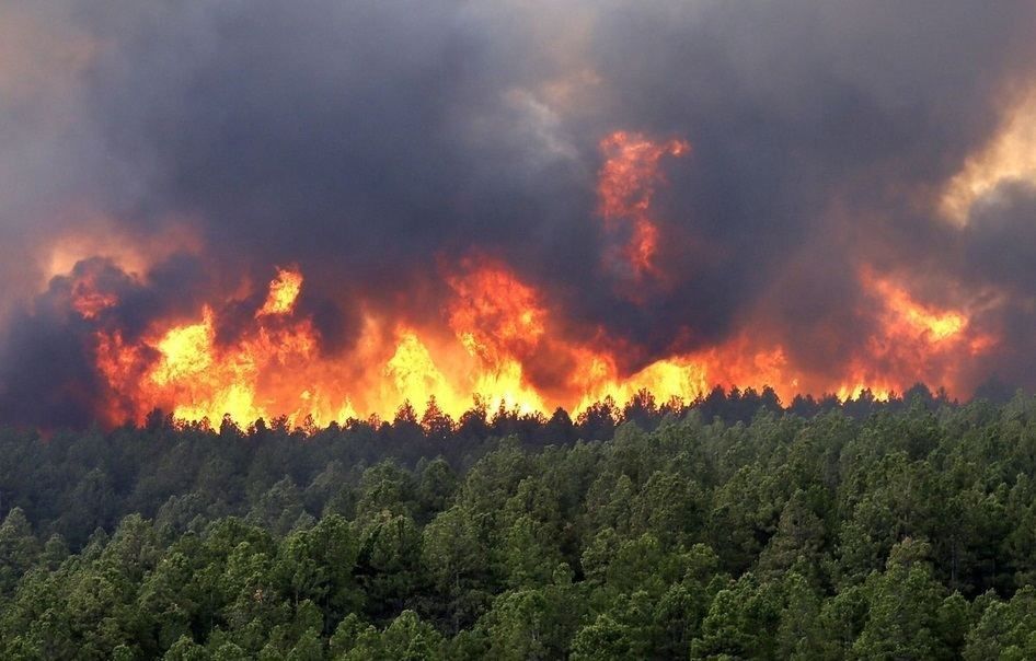 Forest fire destroys hectares in France