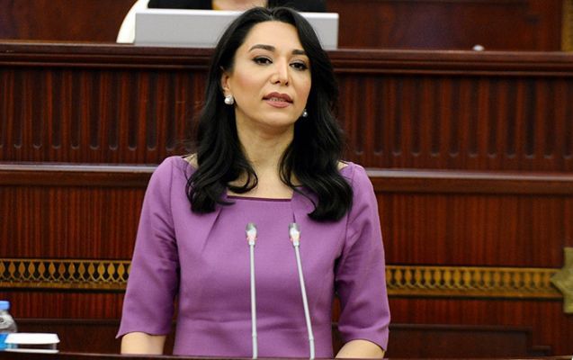 Azerbaijani Ombudswoman proposes tax benefits for female entrepreneurs