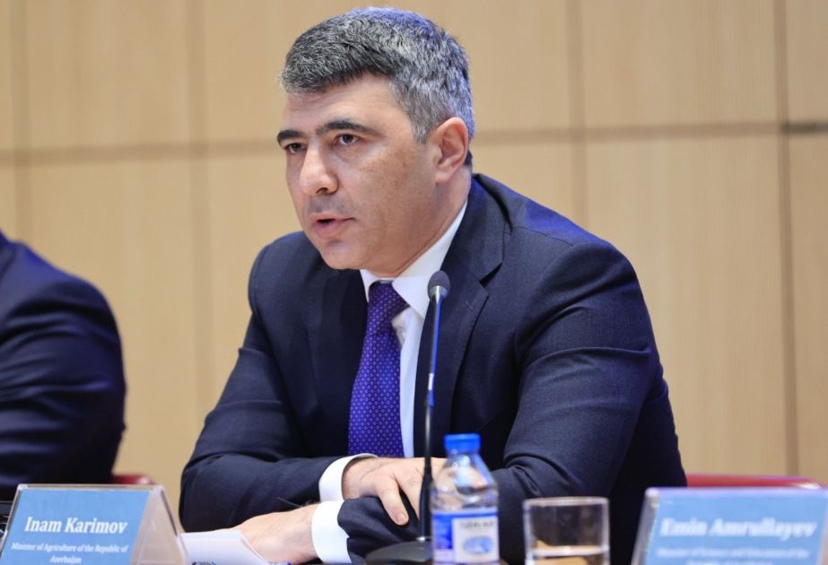 Minister calls Israeli companies to share cutting-edge technologies with Azerbaijan in liberated territories