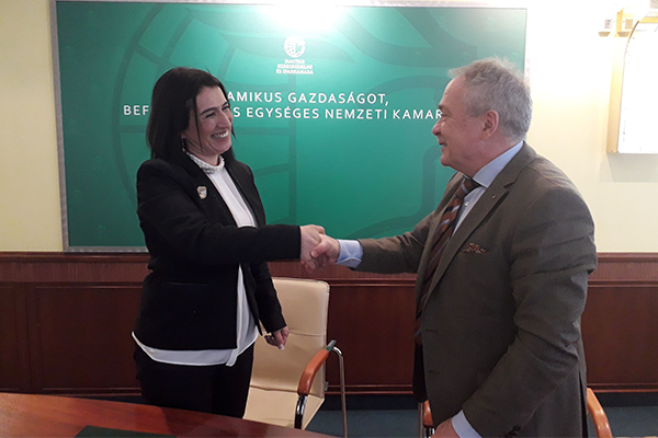 Azerbaijan, Hungary inks agreement to establish joint business council