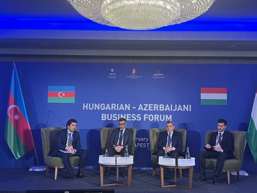 Urban planning activities in the liberated territories discussed at Azerbaijan-Hungary Business Forum [PHOTO]