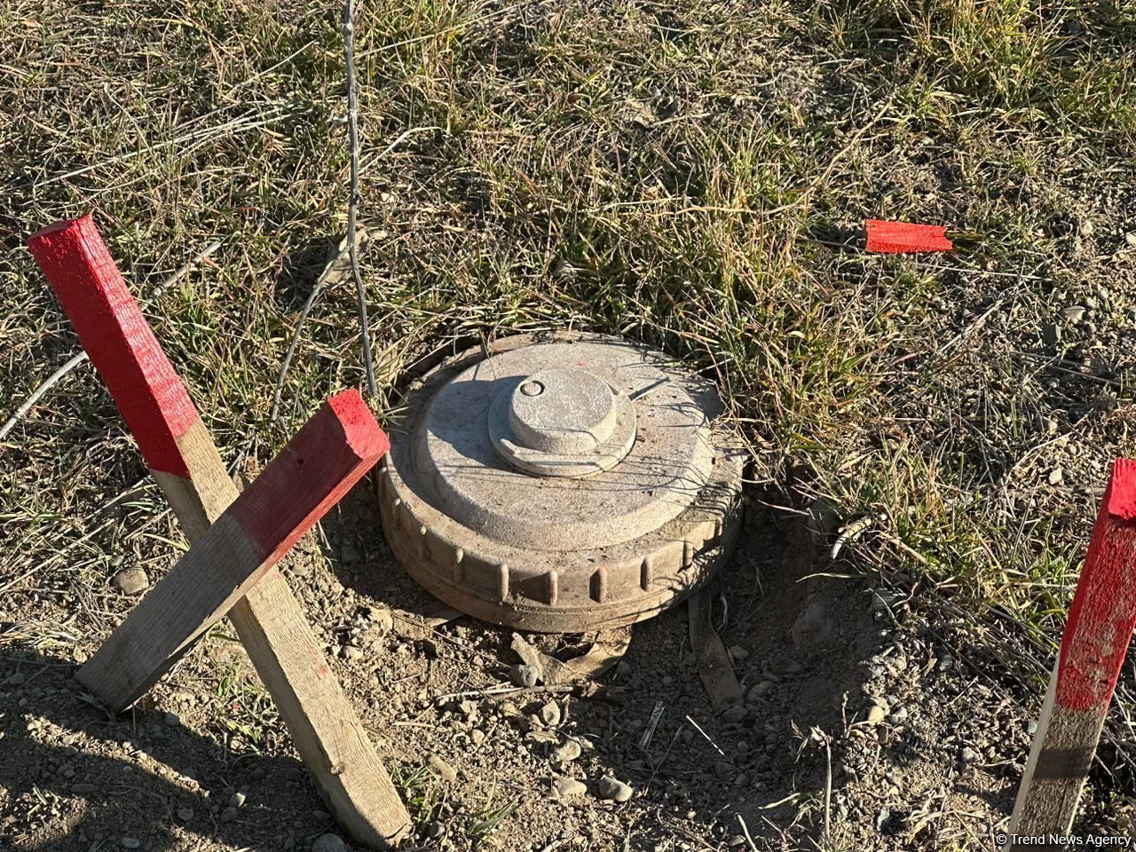 ANAMA continues demining works in liberated Ashaghi Seyidahmadli village [PHOTO/VIDEO] - Gallery Image