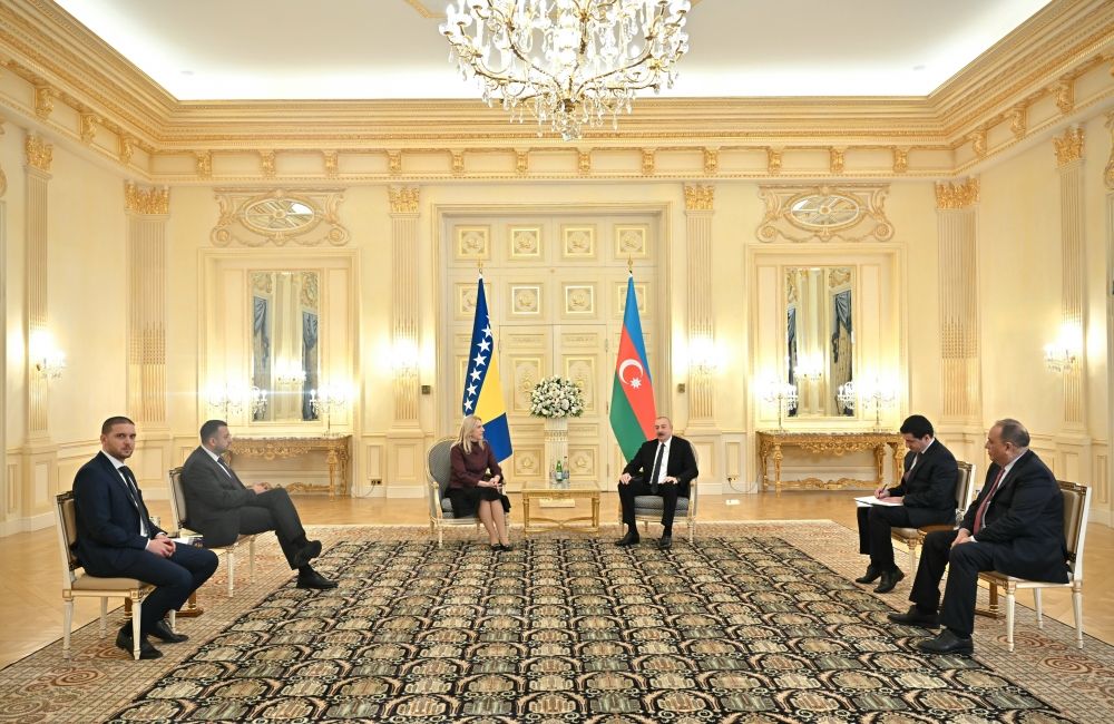 Azerbaijani president meets Bosnia and Herzegovina presidency chairwoman [PHOTO/VIDEO] - Gallery Image