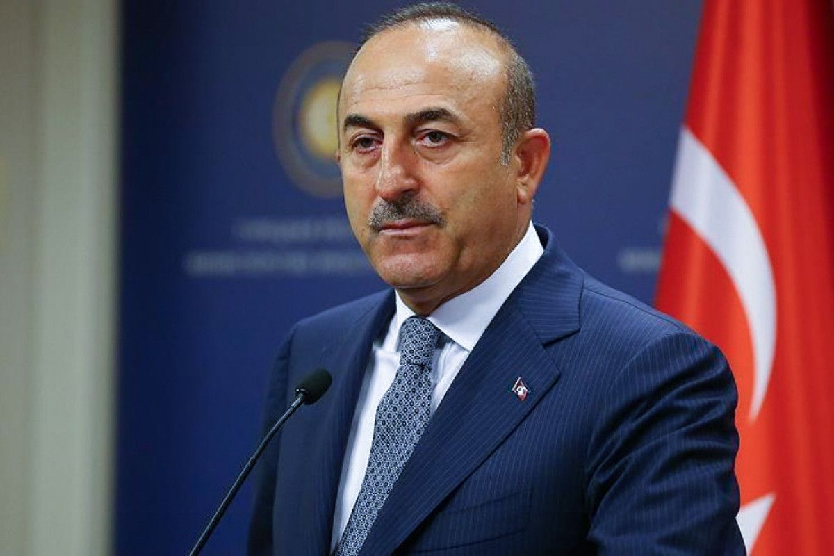 Azerbaijani rescuers will be the last to leave the earthquake zone in Turkiye – Cavusoglu