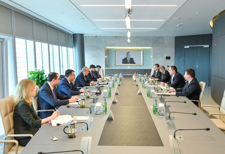 Azerbaijan & Hungary discuss mutual interest