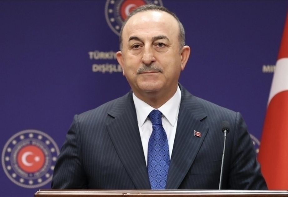 Efforts will be furthered to send more natural gas through TANAP - Cavusoglu