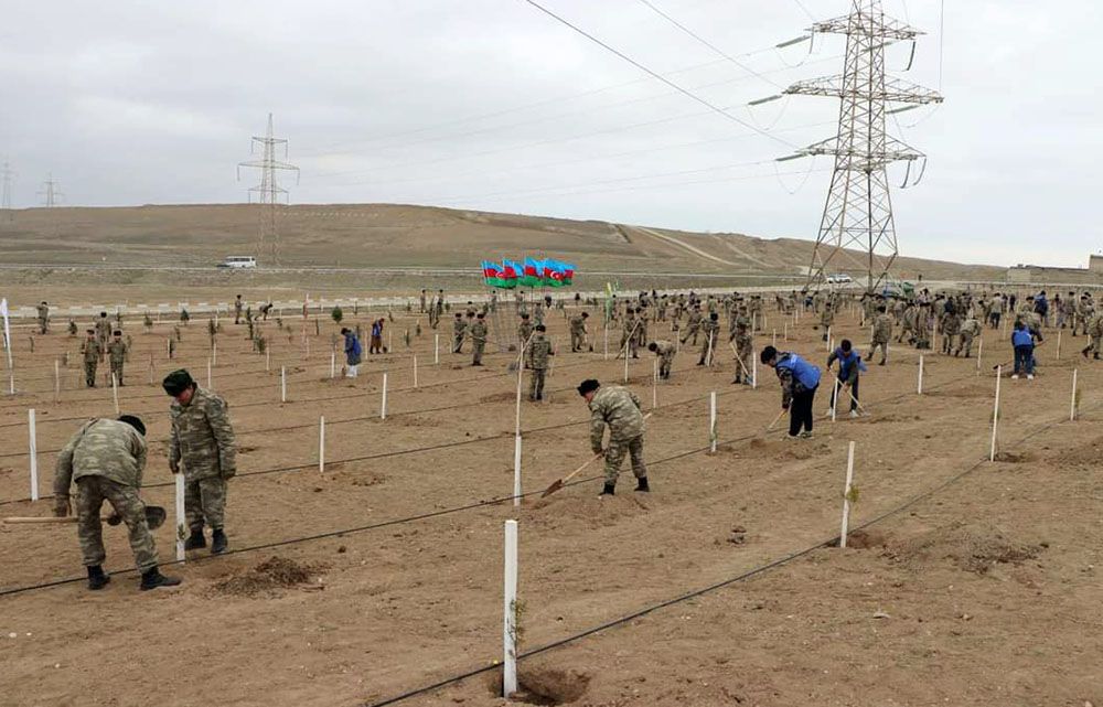 Defense Ministry carries out tree planting campaign in military units [PHOTO]
