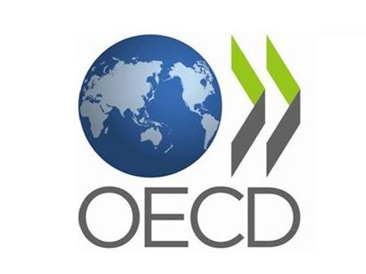OECD predicts fragile economic recovery