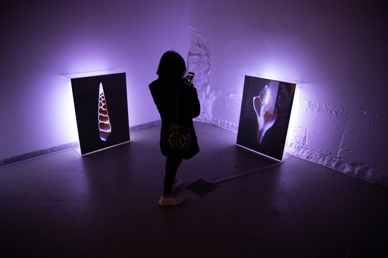 Baku presents exhibition by YARAT Contemporary Art School students [PHOTOS] - Gallery Image