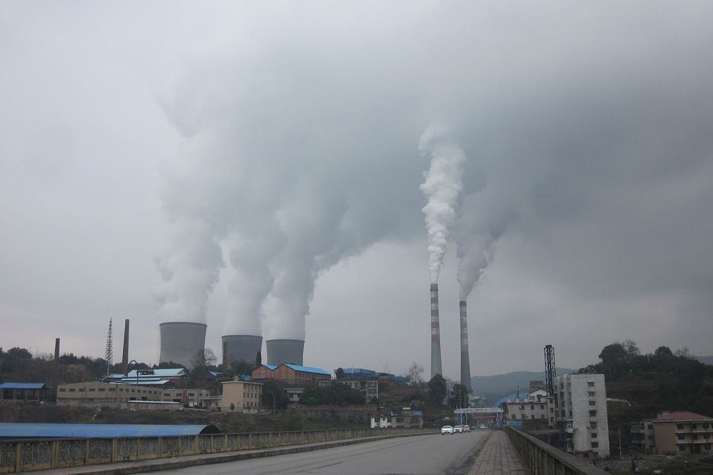 OECD to help countries to identify policy tools for carbon mitigation