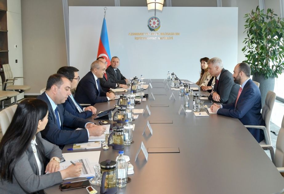 Azerbaijani minister, World Bank regional director mull co-op