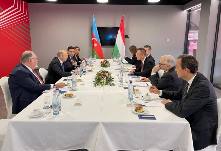 Azerbaijan, Hungary discuss gas supply, green energy