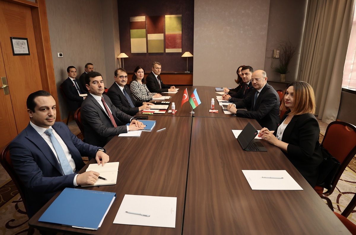 Azerbaijani Energy Minister meets his Turkish counterpart amid ministerial event in Hungary [PHOTOS]