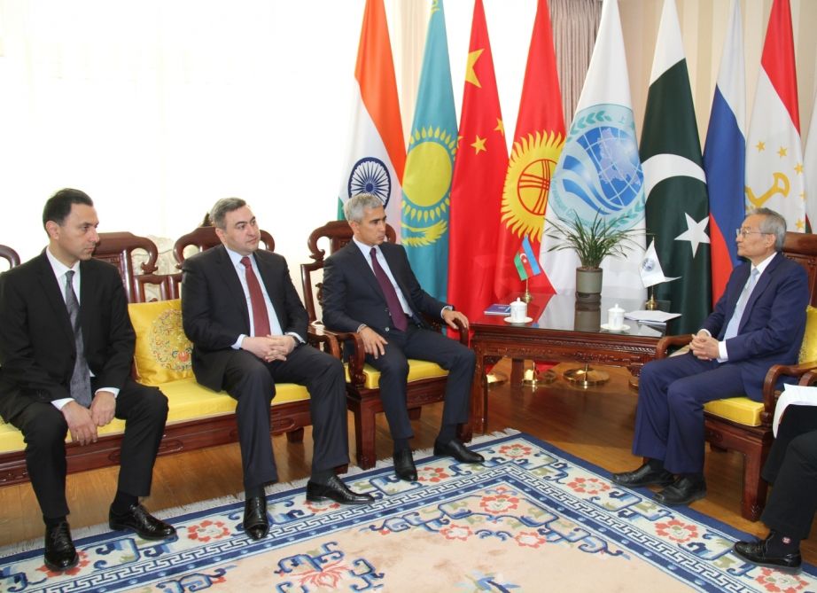 Assistant to Azerbaijani President meets with China's various officials