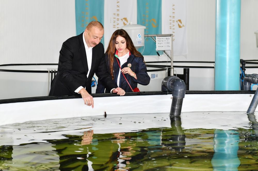 Azerbaijani President paid a visit to fish breeding farm in Yenikand village, Neftchala [PHOTOS/VIDEO]