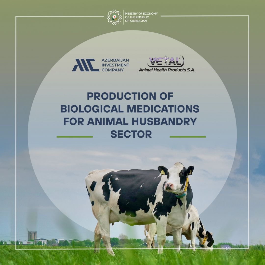 Azerbaijan, Turkiye to produce biological medications for animal husbandry