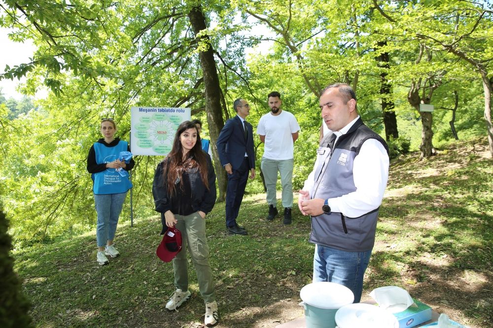 Leyla Aliyeva joins environmental tree-planting campaign in Lankaran - Gallery Image