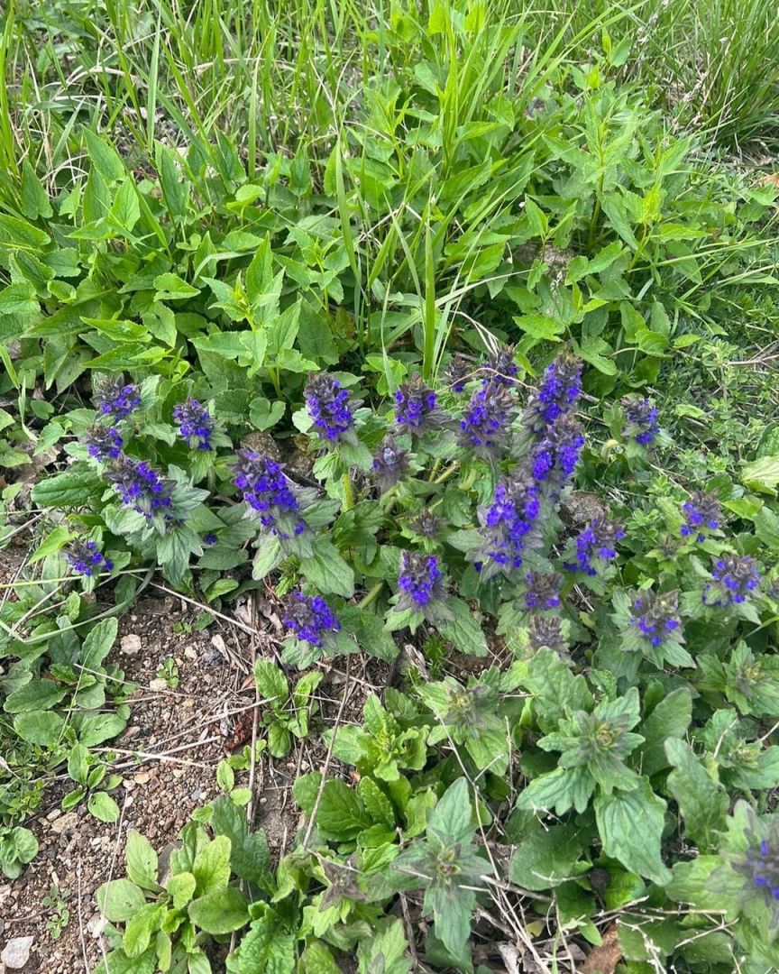Slider Image 1