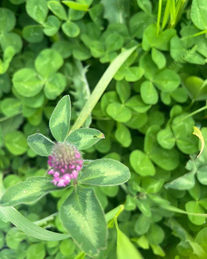 Slider Image 1