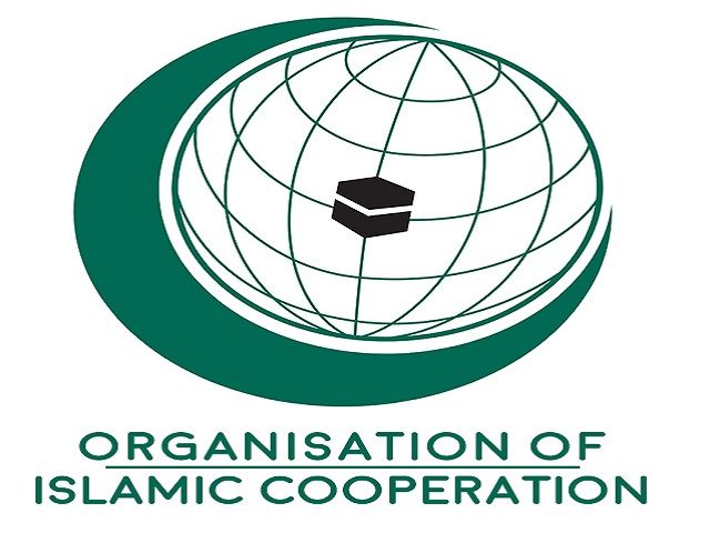 OIC calls for raising global awareness on need to respect humanitarian principles, consolidate values of peace
