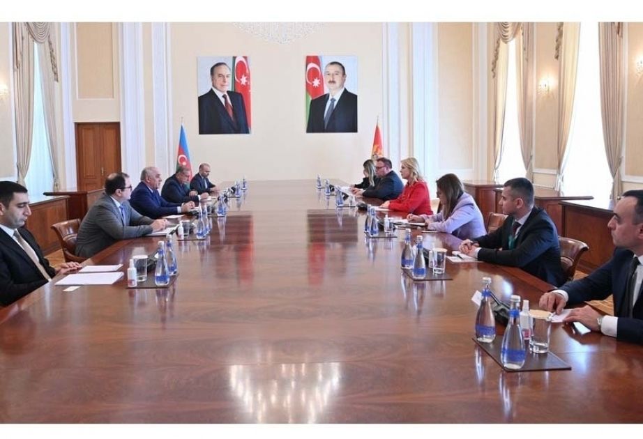 Azerbaijani PM meets with President of Montenegrin Parliament