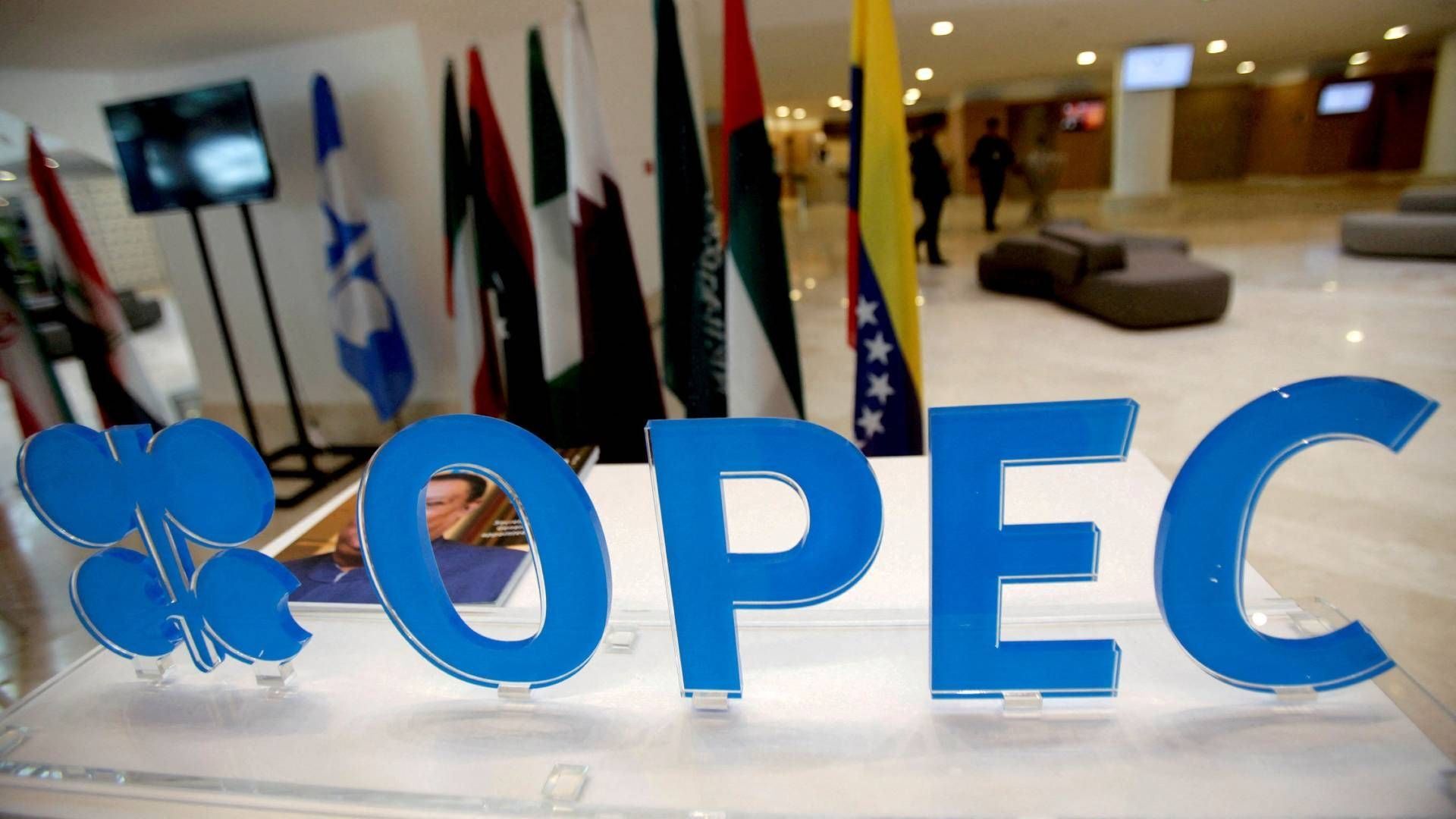 OPEC Plus countries agree to maintain oil production stability