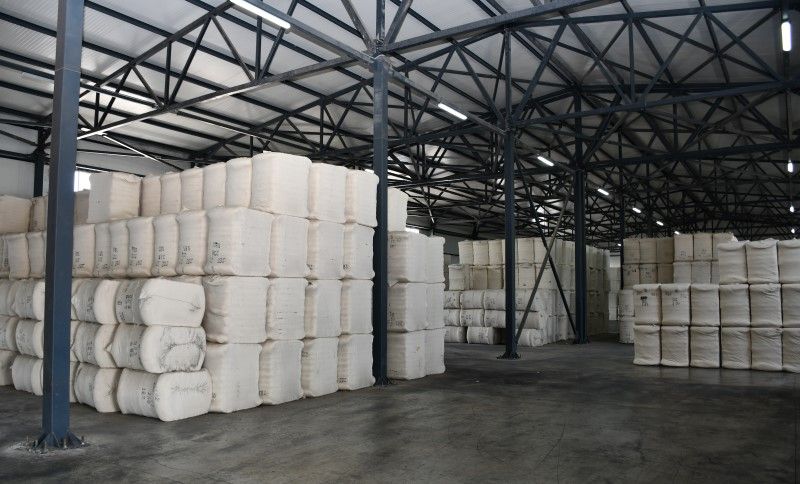 Azerbaijani companies start exporting cotton fiber to Turkmenistan - Gallery Image