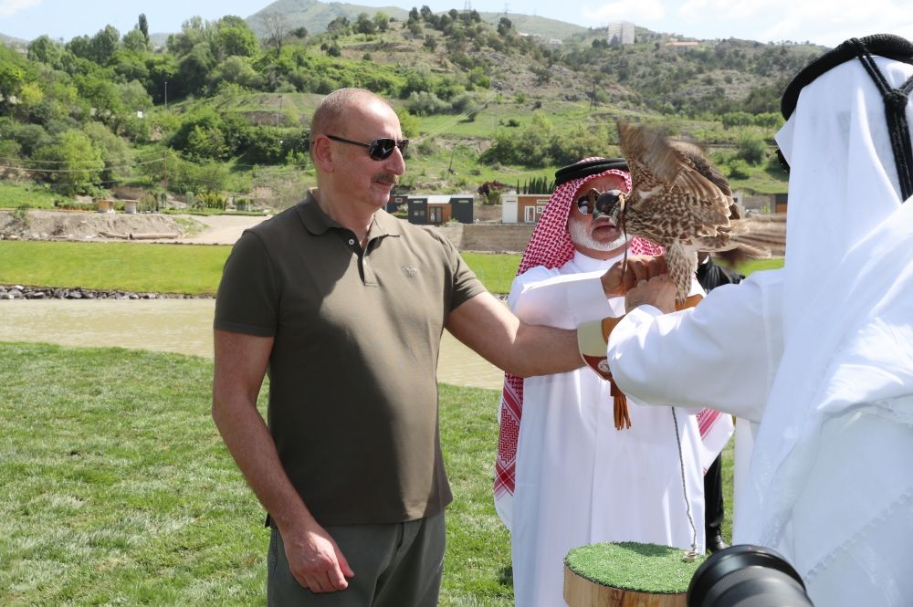 East Caucasian turs, falcons were released into wild, different species of fish into Hakari river [PHOTOS/VIDEO]