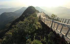 Xi Jinping: Guarding tropical rainforest
