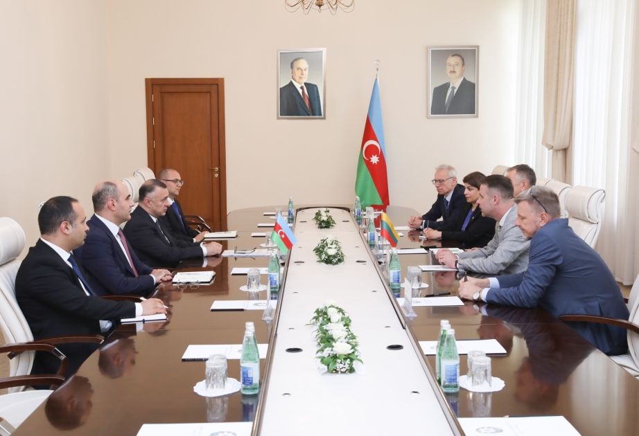 Azerbaijan and Lithuania Health Ministries eye cooperation