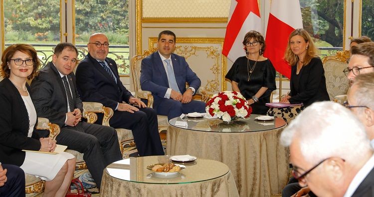 Georgian, French top lawmakers review cooperation, EU integration
