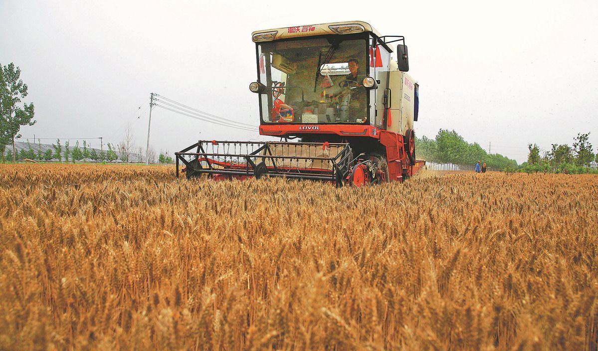 Central China ramps up efforts to reduce grain losses