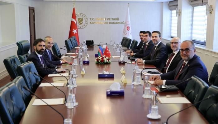Azerbaijan, Turkiye discuss future cooperation in field of economy and energy