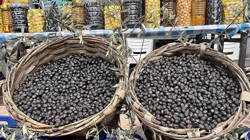 Türkiye’s Gemlik olives registered on EU’s list of protected origin
