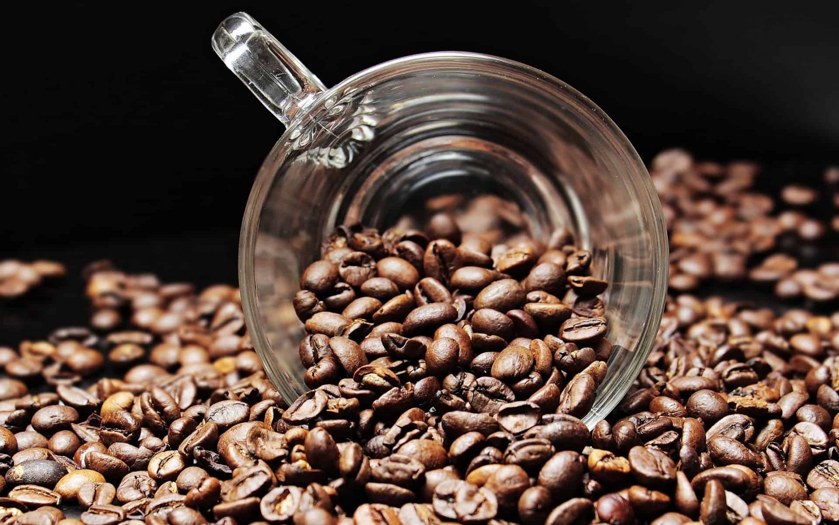 Brazil's specialty coffee industry eyes Chinese market