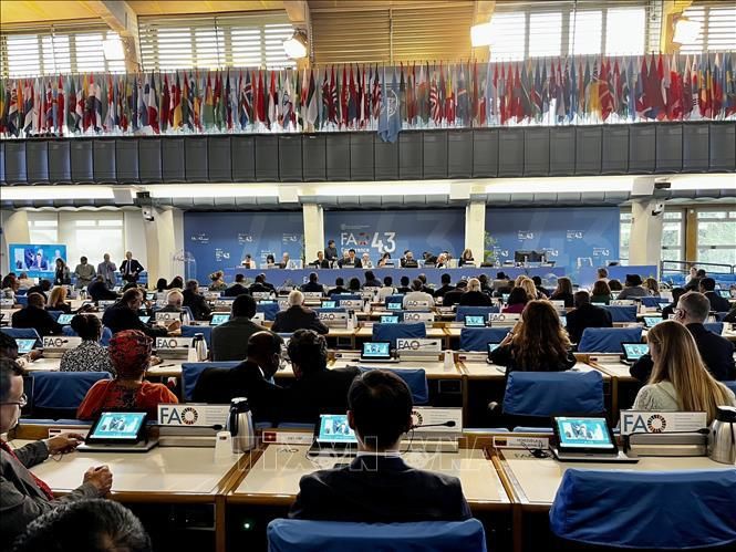 Azerbaijan attends 43rd FAO session in Italy