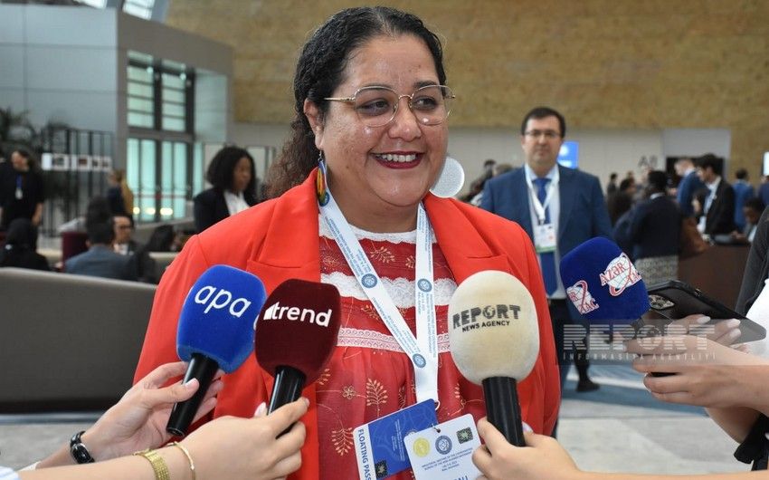 Magali Tingal: What President Ilham Aliyev said about France's colonial policy is true