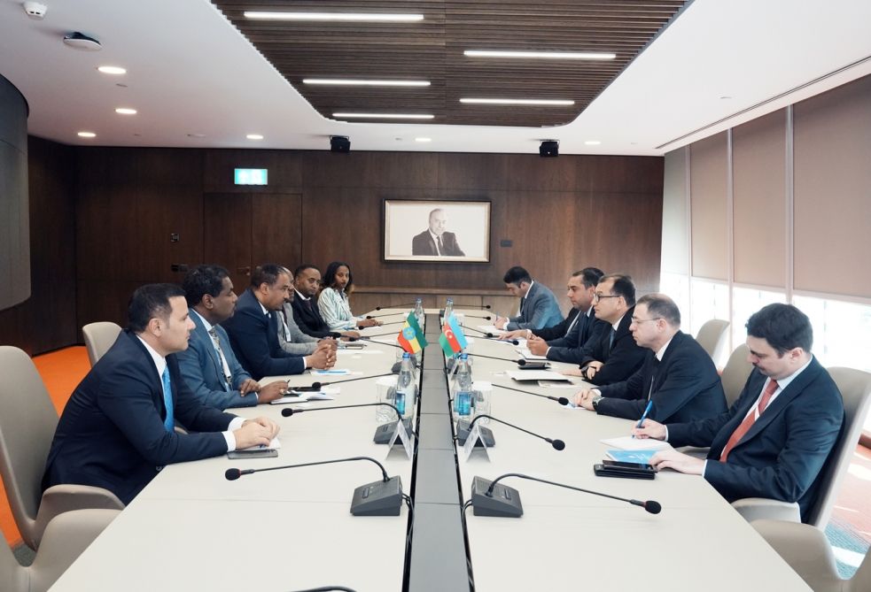 Azerbaijan, Ethiopia discuss development of economic cooperation [PHOTOS]