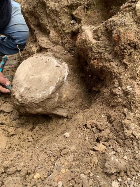 Marble head found in Rome's Piazza Augusto Imperatore - Vimarsana News