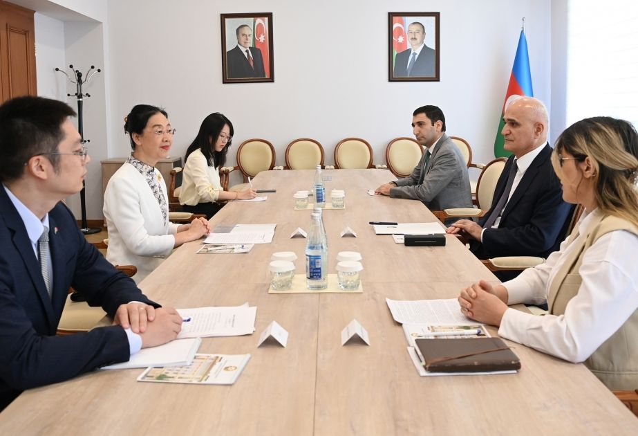 Azerbaijan, China discuss prospects for cooperation in various areas
