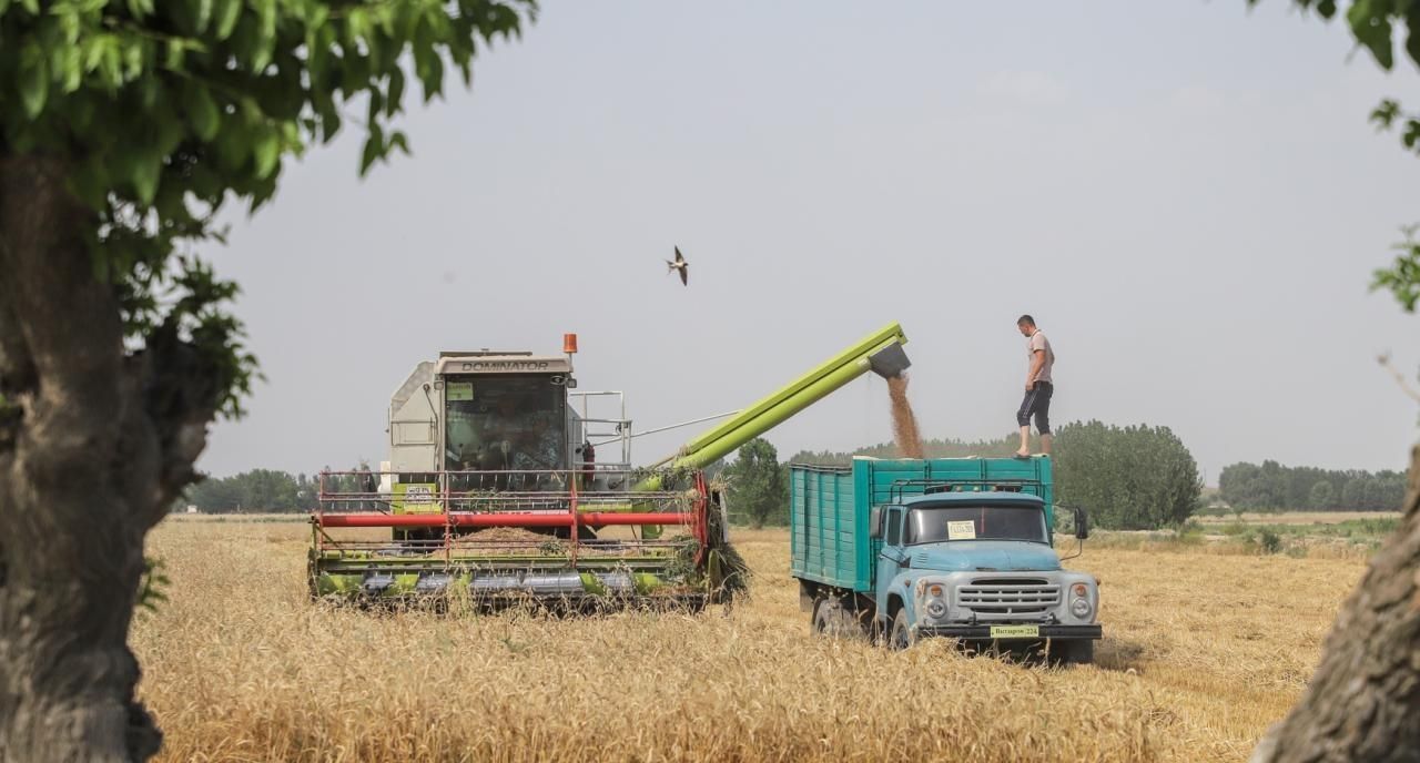 Uzbekistan grows 8 million tons of grain for the first time