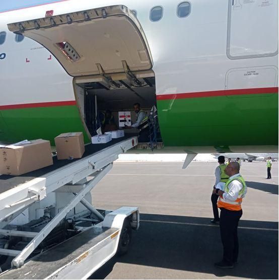 Egypt delivers 10th batch of anti-hepatitis drugs to Uzbekistan