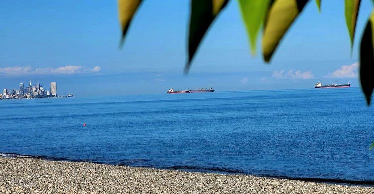 Black Sea water quality within norm